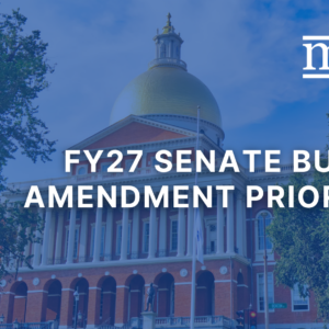 FY27 Senate Budget Amendment Priorities